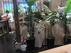 -疆牛出栏·潮汕牛肉火锅(德汇万达店)