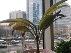 景观位-烹然四季椰子鸡火锅(团结湖总店)