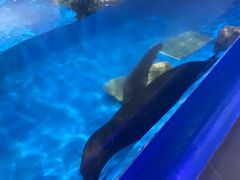 -欢乐海岸海洋奇梦馆