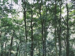 -青城山