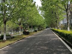 -大渡口区义渡公园