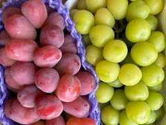 -马陆小张葡萄园农家乐