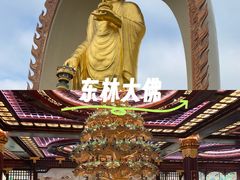-东林大佛