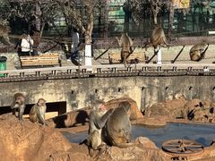 -昆明动物园