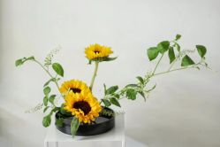 -今日陶艺(富力广场店)