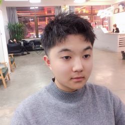 -蚂蚁造型沙龙