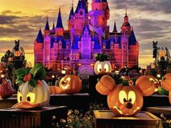 -上海迪士尼度假区