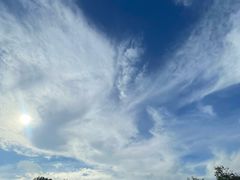 -中山市树木园