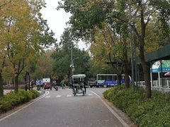 -武汉园博园(武汉自然博物馆)
