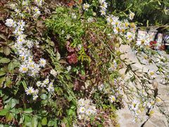 -云峰山自然风景区