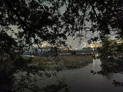 -月湖风景区