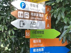 -前小桔亲子创意农场·草莓采摘·露营烧烤