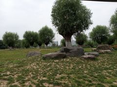 -汉长安城未央宫国家考古遗址公园