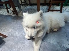 -陈记鱼厨卫城老店