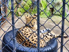 -大连森林动物园