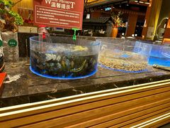 -焰江山·海鲜牛排烤肉自助(环形中心店)