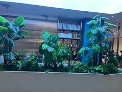 -悦海·家宴·冰花皮皮虾大锅贴(宝龙店)