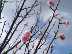 -观澜湖生态运动公社
