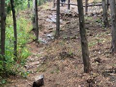 -北京十三陵国家森林公园蟒山景区