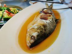 -老洋房花园饭店(绍兴路店)