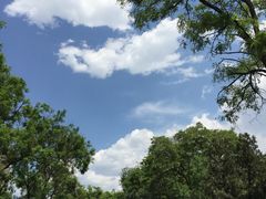 -太原面食店(解放路店)