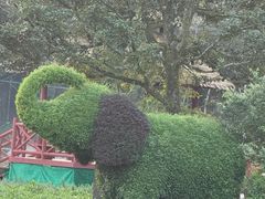 -广州市石门国家森林公园