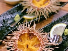 -红叶日料·放题·海胆·定食(星海店)