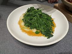 -新吉士·上海菜(浦东LCM置汇旭辉店)