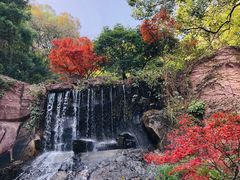 -岳麓山风景名胜区