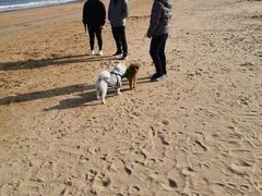 -青岛第三海水浴场