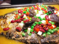 -探鱼·鲜青椒爽麻烤鱼(西南商都店)