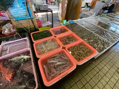 -大湾区中央湿地公园-十九涌