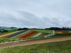 -富田农场