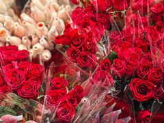 -循礼门鲜花花市(武汉循礼门店)