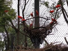 -武汉动物园