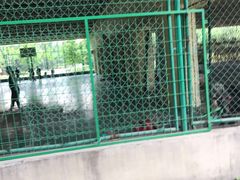 -长白岛森林公园