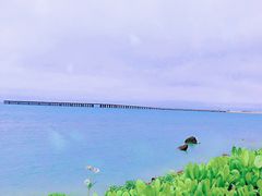 -濑长岛