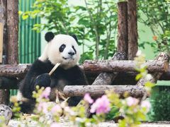 -泉城欧乐堡梦幻世界