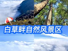 -白草畔自然风景区