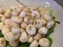 野生珍珠小马蹄-同仁四季椰子鸡(海岸城天利店)