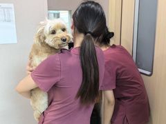 -瑞鹏宠物医院(大运分院)