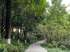 -龙头寺公园