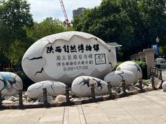 -陕西自然博物馆