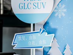 -奔驰利星行(北京花乡店)