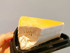 -王守财小山園