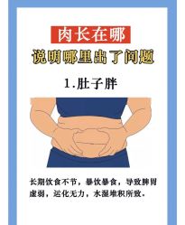 -Fundi张玉珊修身堂·indiba·BTL科技瘦身