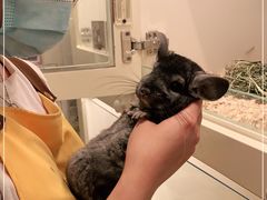 -龙猫仔乐园(惠福东路店)