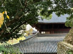 -东明山森林公园