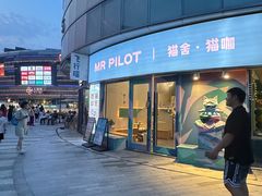 -飞行喵MR PILOT|猫舍·猫咖(静安大融城店)