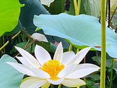 -北京动物园-畅观楼